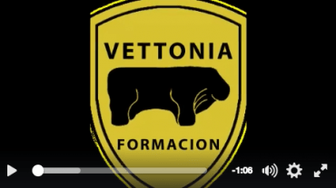 ¿Quieres mejorar profesionalmente?